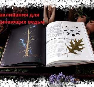 Заклинания для начинающих ведьм и колдунов — белая и черная магия